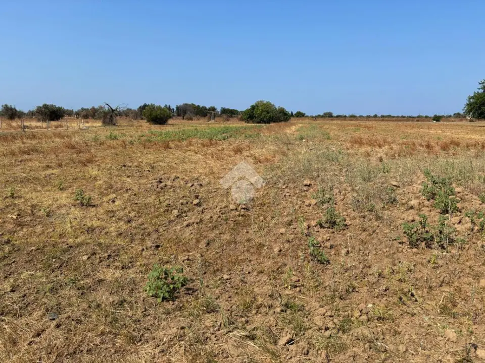 Ter. agricolo in vendita a Alezio