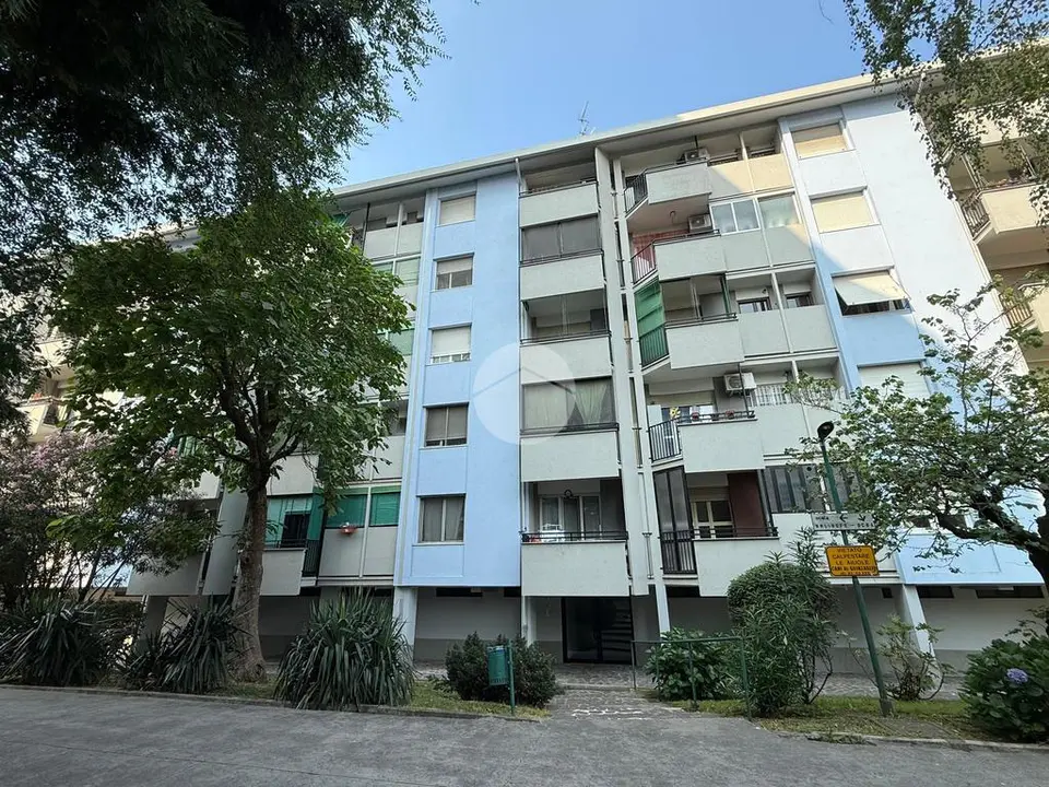Monolocale in affitto a Milano