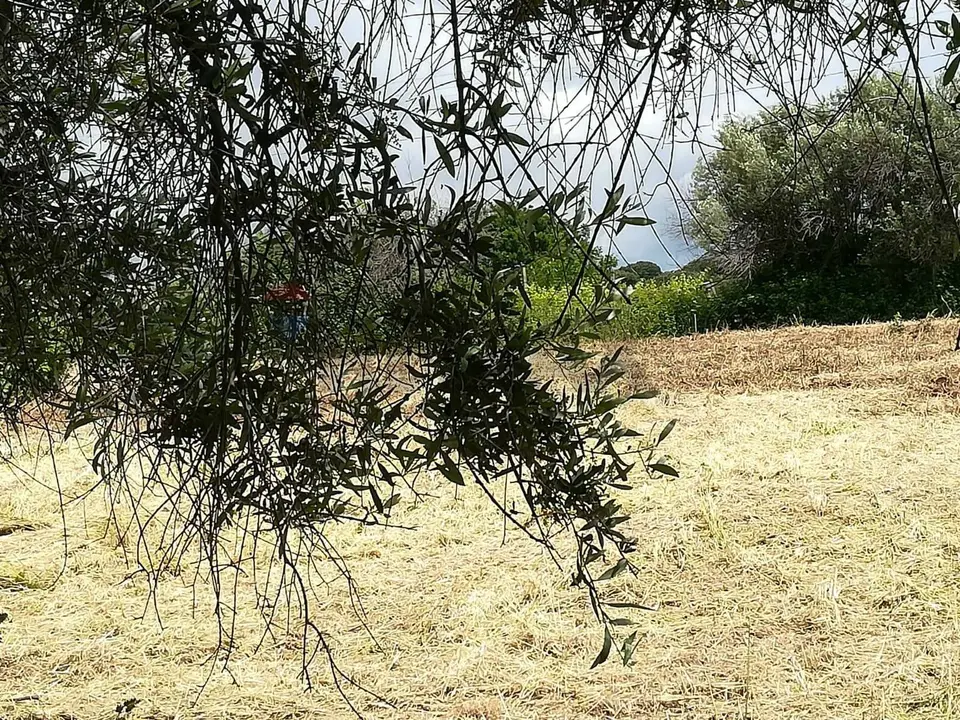 Terreno Edificabile in Vendita a Aprilia