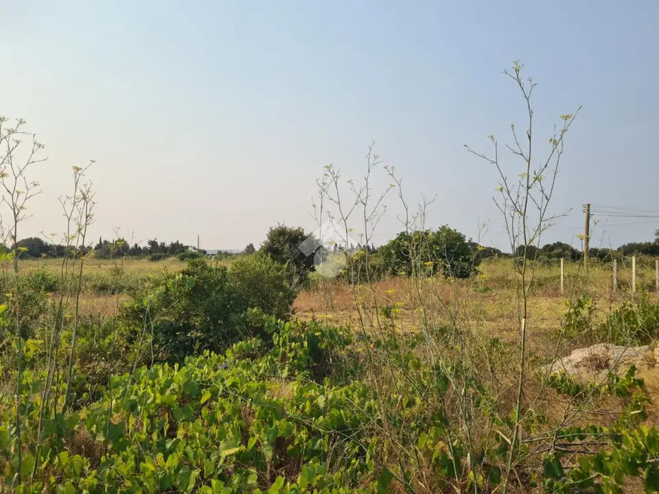 Ter. agricolo in vendita a Gallipoli