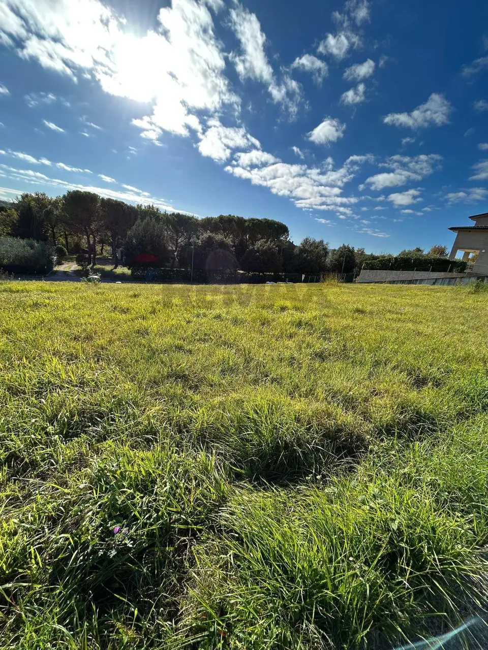Terreno Edificabile in Vendita a Perugia