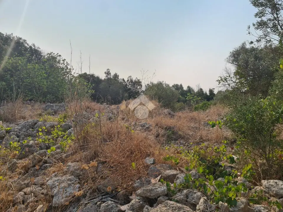 Ter. agricolo in vendita a Gallipoli