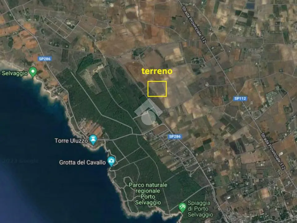 Ter. agricolo in vendita a Nardò