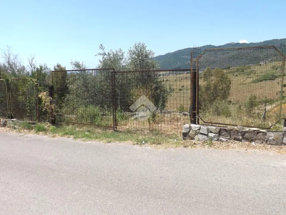 Ter. agricolo in vendita a Giffoni Valle Piana