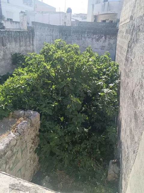 Appartamento in VIA TRENTO 4, Crispiano (TA)