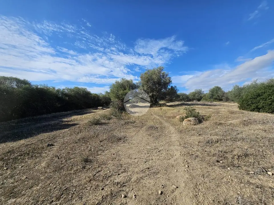 Ter. agricolo in vendita a Quartucciu
