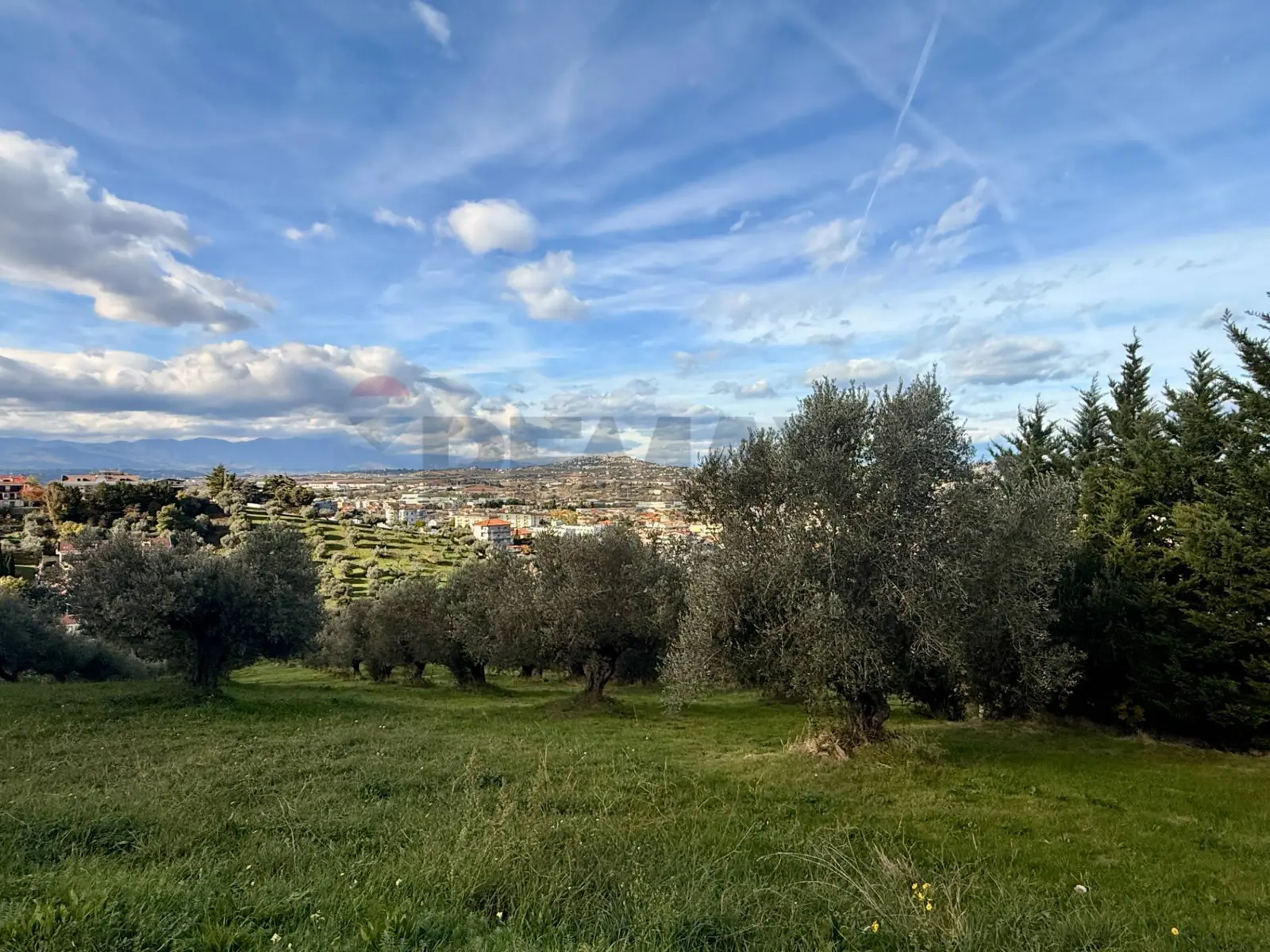 Terreno Edificabile in Vendita a Montesilvano