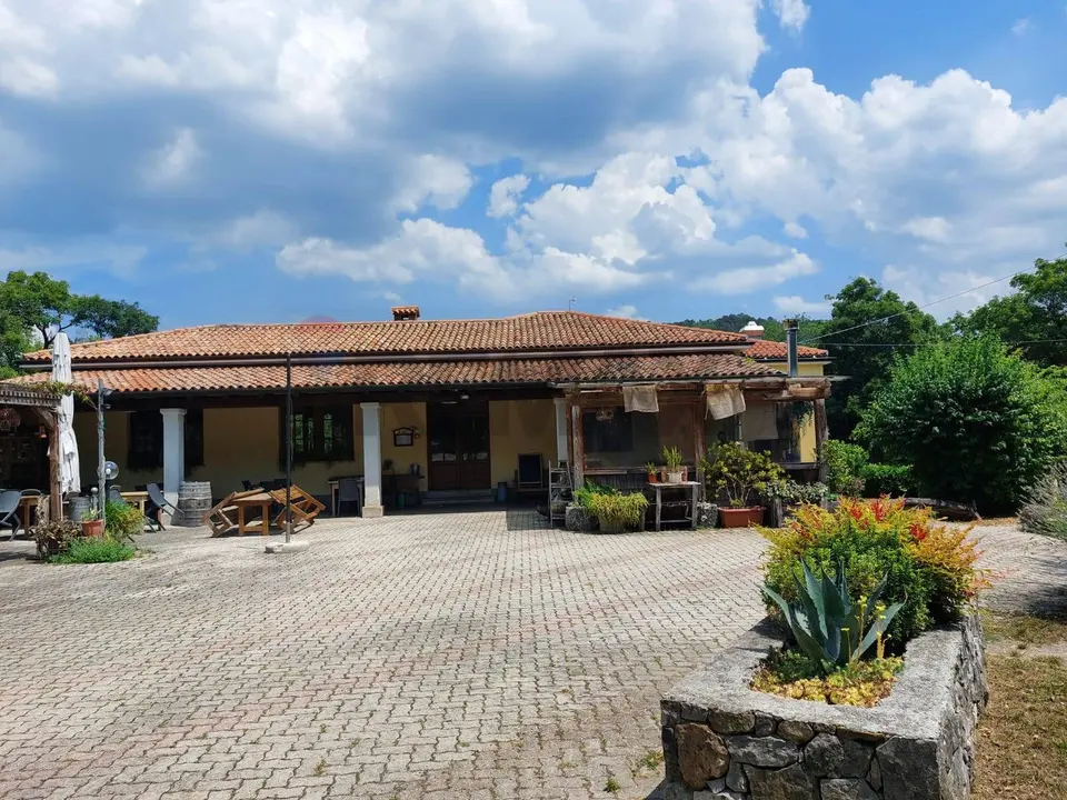 Commerciale Altro in Vendita a Duino-Aurisina