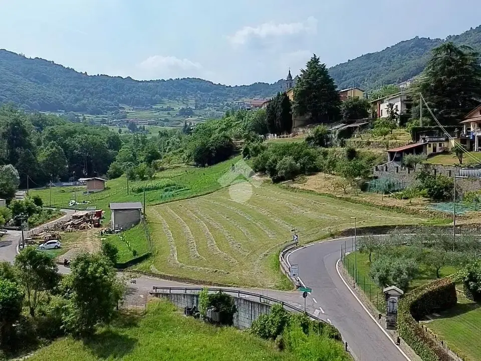 Ter. agricolo in vendita a Foresto Sparso