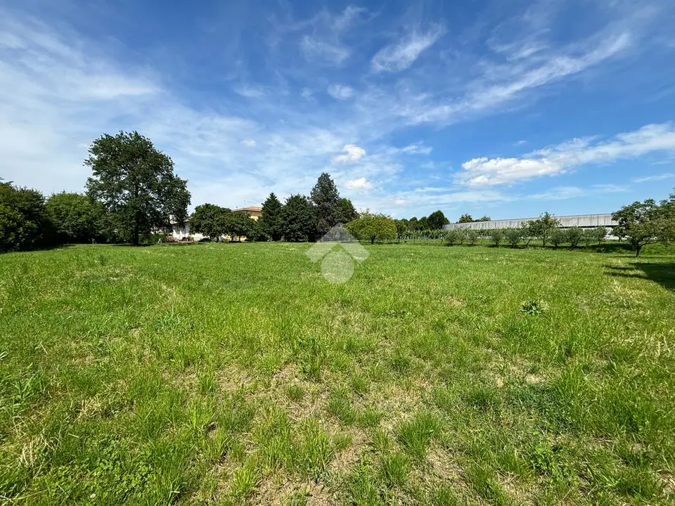 Ter. residenziale in vendita a San Giorgio Delle Pertiche